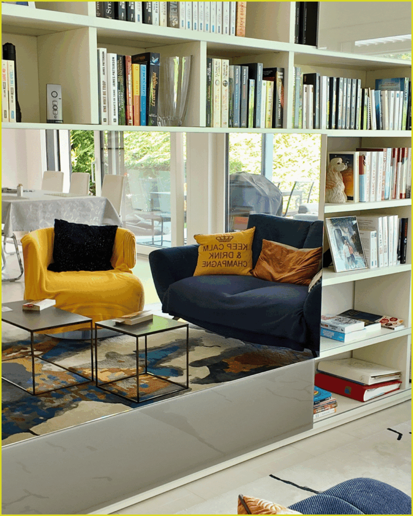 Bibliotièque et télévision miroir du salon